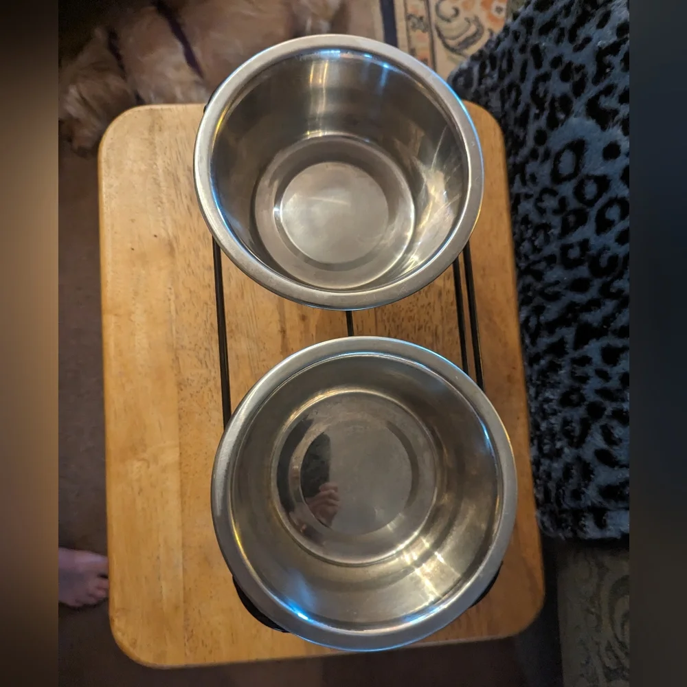 NWOT Metal Dog Bowls & Stand